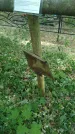 Захоронение ID 197563