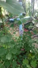 Захоронение ID 197562