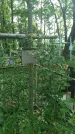 Захоронение ID 197572