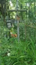 Захоронение ID 197573