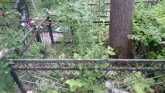 Захоронение ID 197579