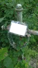 Захоронение ID 197587