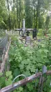Захоронение ID 197590