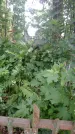 Захоронение ID 197622