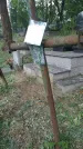 Захоронение ID 197624