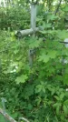 Захоронение ID 197644