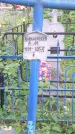 Захоронение ID 197654