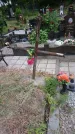 Захоронение ID 197876