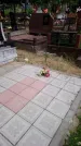 Захоронение ID 197979