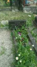 Захоронение ID 197994