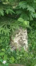 Захоронение ID 198035