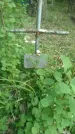 Захоронение ID 198037