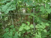 Захоронение ID 198060