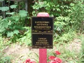Захоронение ID 198082