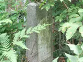 Захоронение ID 198089