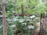 Захоронение ID 198132