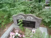 Захоронение ID 198153