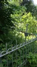 Захоронение ID 198178