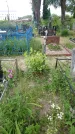 Захоронение ID 198212