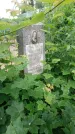 Захоронение ID 198222