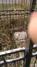 Захоронение ID 198280