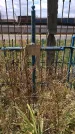 Захоронение ID 198282