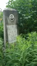Захоронение ID 198357