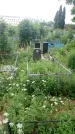 Захоронение ID 198361