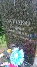 Захоронение ID 198376