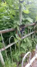 Захоронение ID 198379