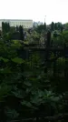Захоронение ID 198388