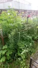 Захоронение ID 198405