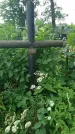 Захоронение ID 198408