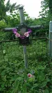 Захоронение ID 198430
