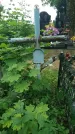 Захоронение ID 198431