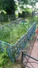 Захоронение ID 198435