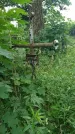 Захоронение ID 198493