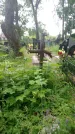 Захоронение ID 198523