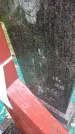Захоронение ID 198564