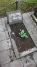 Захоронение ID 198993