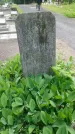 Захоронение ID 198998