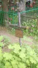 Захоронение ID 199005