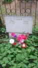 Захоронение ID 199046