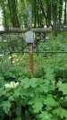 Захоронение ID 199162