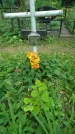 Захоронение ID 199185