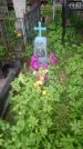 Захоронение ID 199446