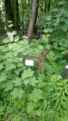 Захоронение ID 199483