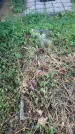 Захоронение ID 199610