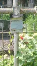 Захоронение ID 199658