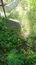 Захоронение ID 200055